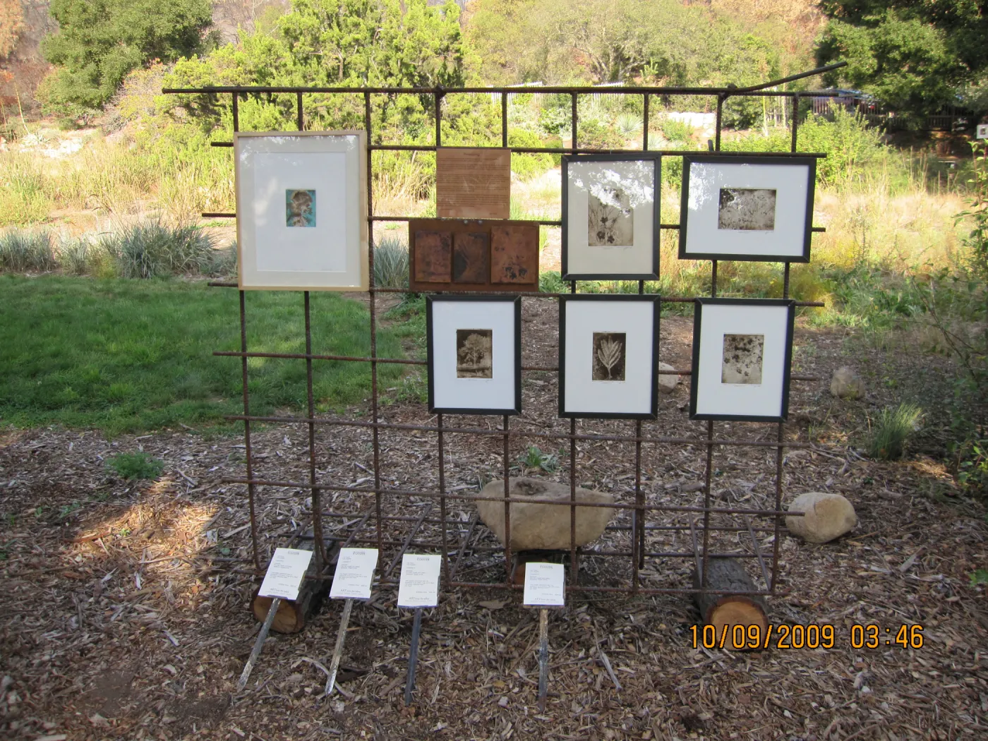 Art From Ashes art exhibit, after the Jesusita Fire