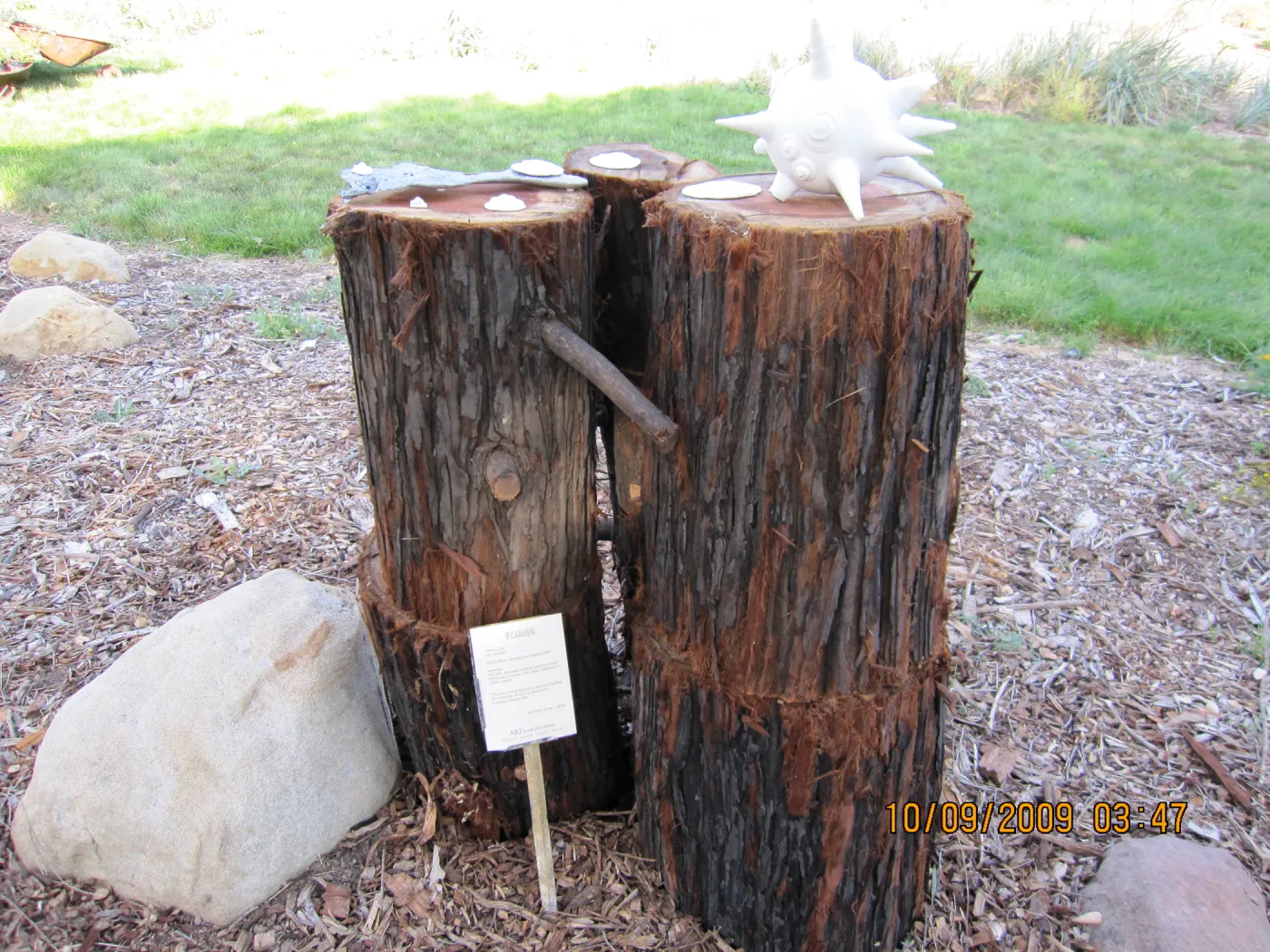 Art From Ashes art exhibit, after the Jesusita Fire