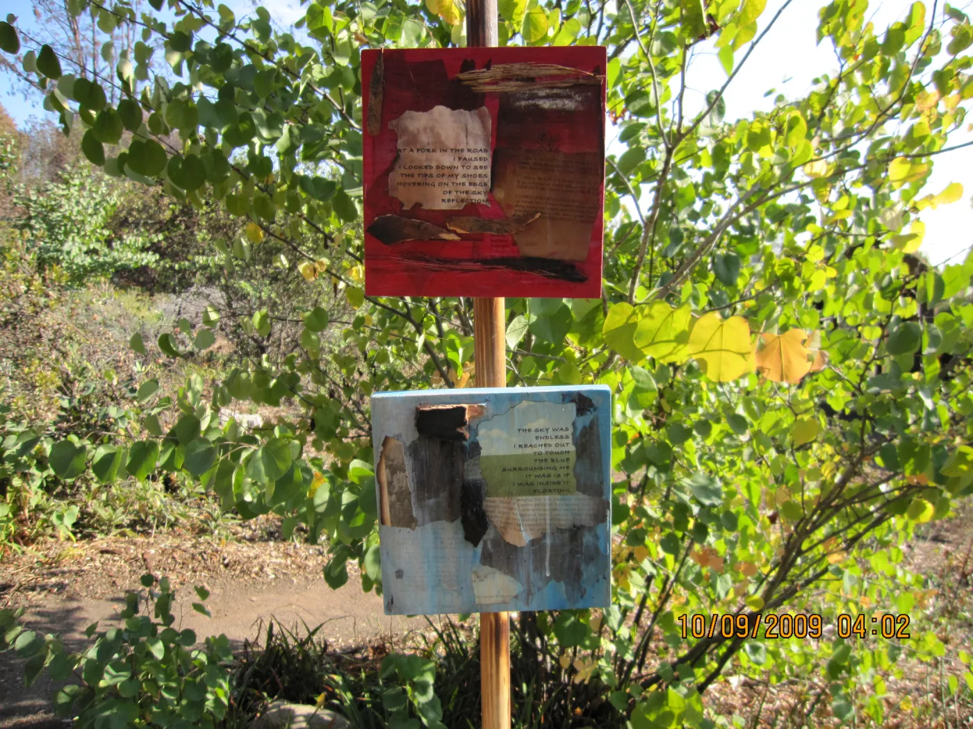 Art From Ashes art exhibit, after the Jesusita Fire