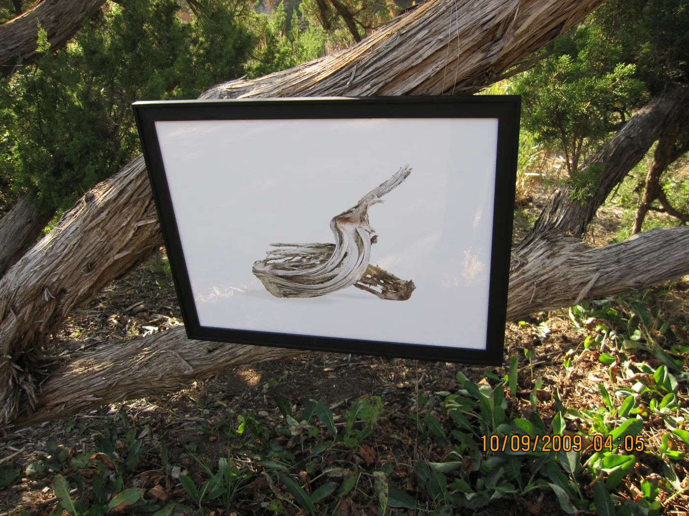 Art From Ashes art exhibit, after the Jesusita Fire