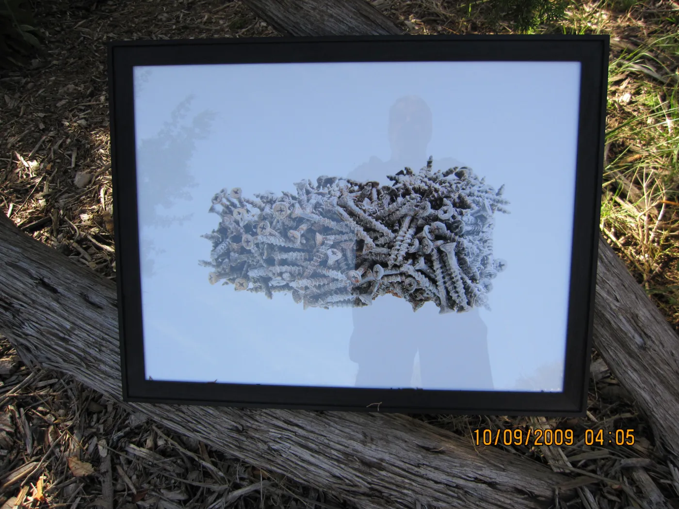 Art From Ashes art exhibit, after the Jesusita Fire