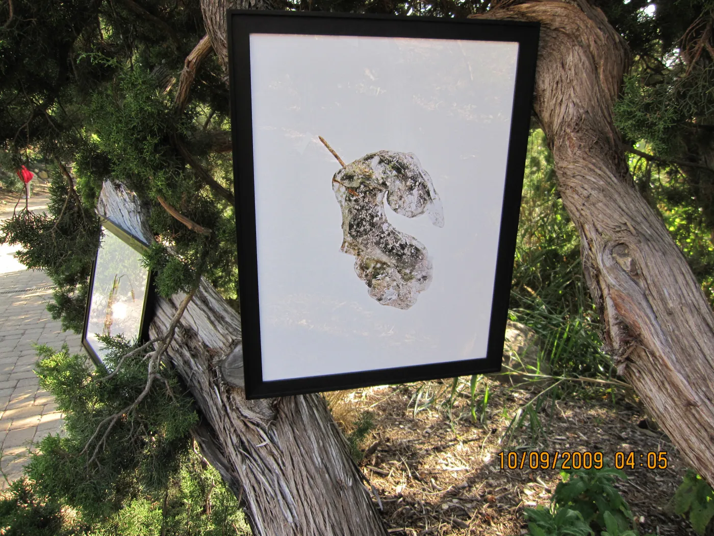 Art From Ashes art exhibit, after the Jesusita Fire