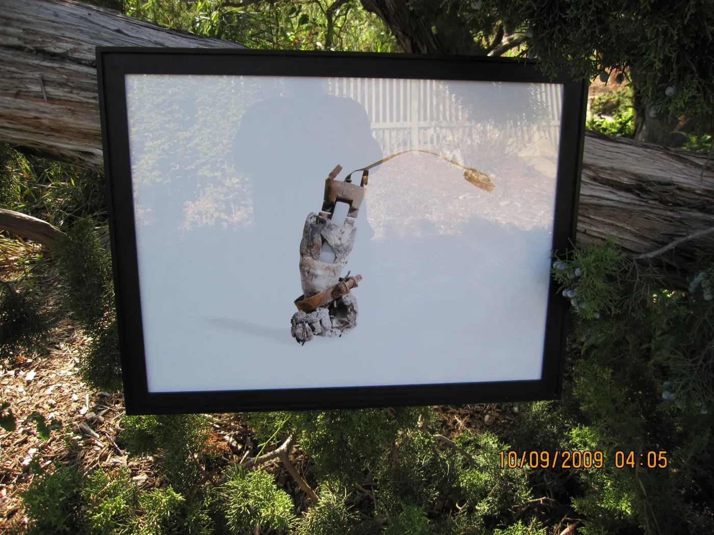 Art From Ashes art exhibit, after the Jesusita Fire