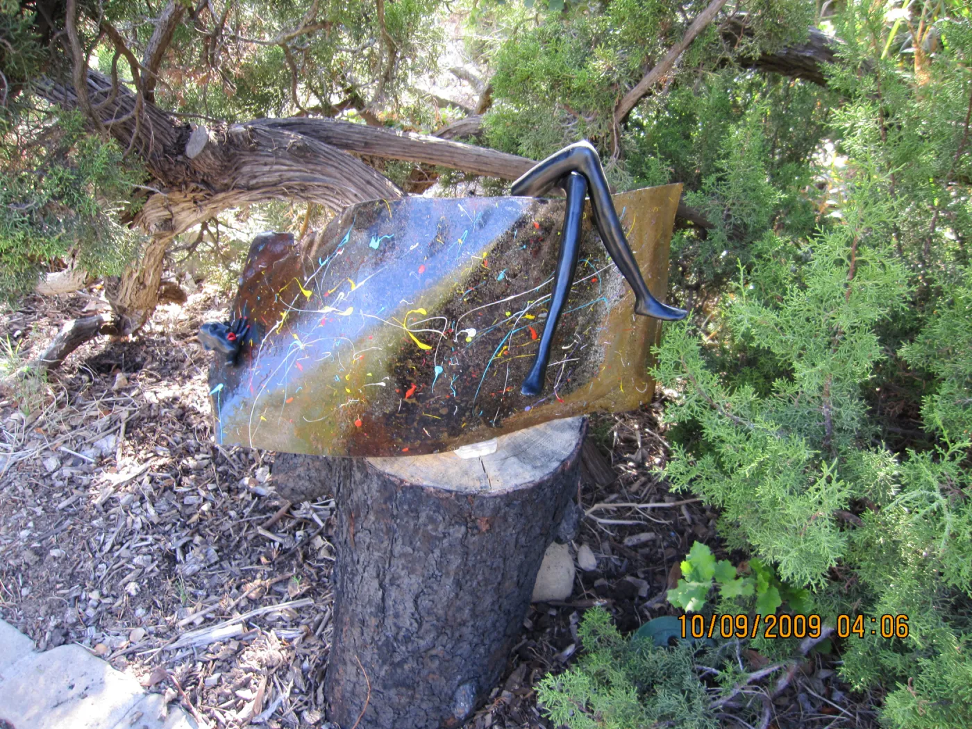 Art From Ashes art exhibit, after the Jesusita Fire