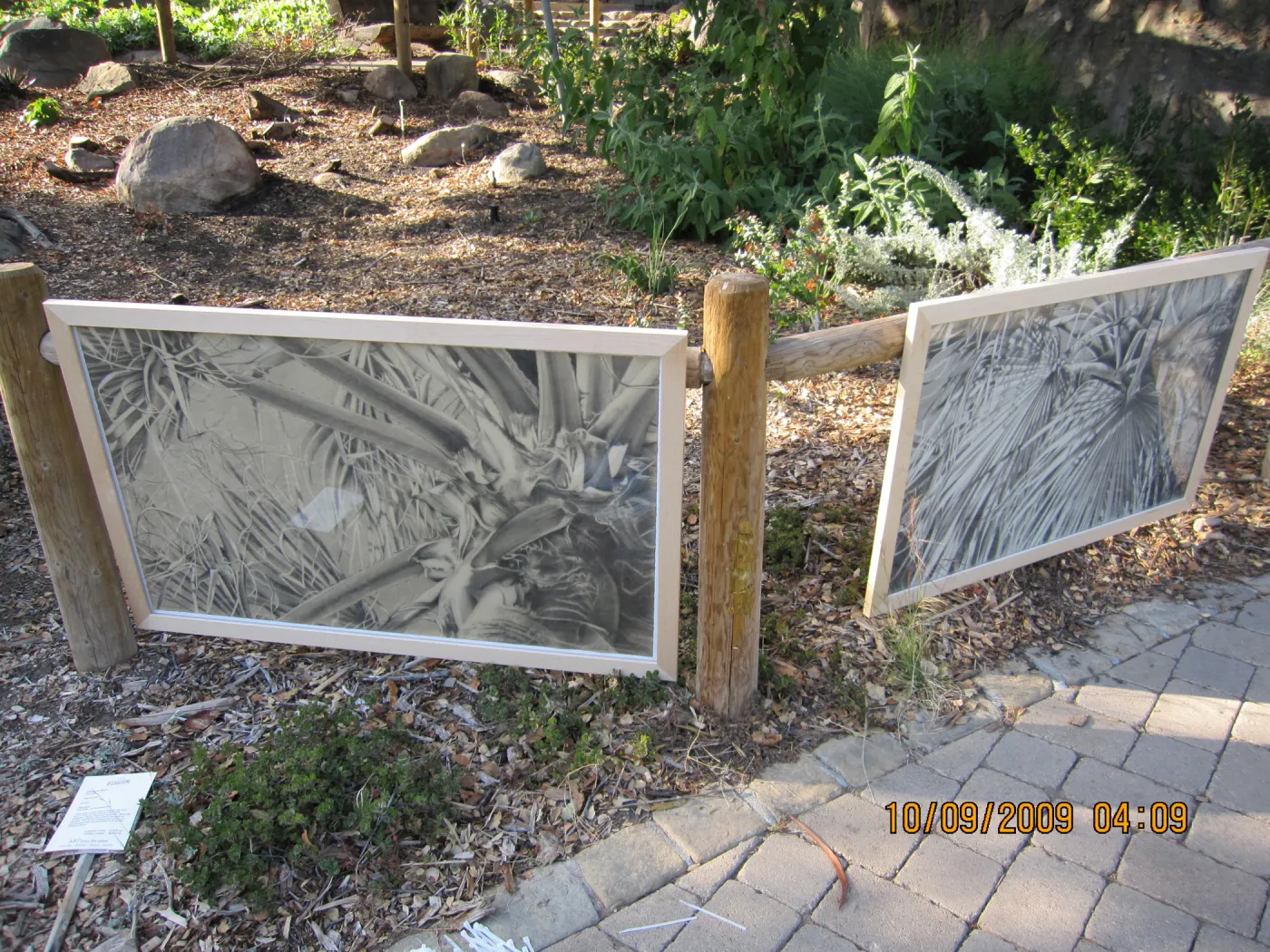 Art From Ashes art exhibit, after the Jesusita Fire