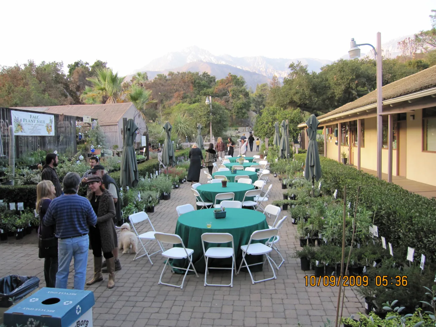 Art From Ashes event, after the Jesusita Fire