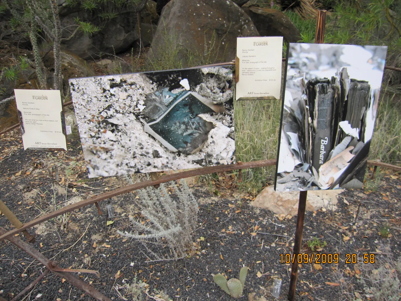Art From Ashes art exhibit, after the Jesusita Fire