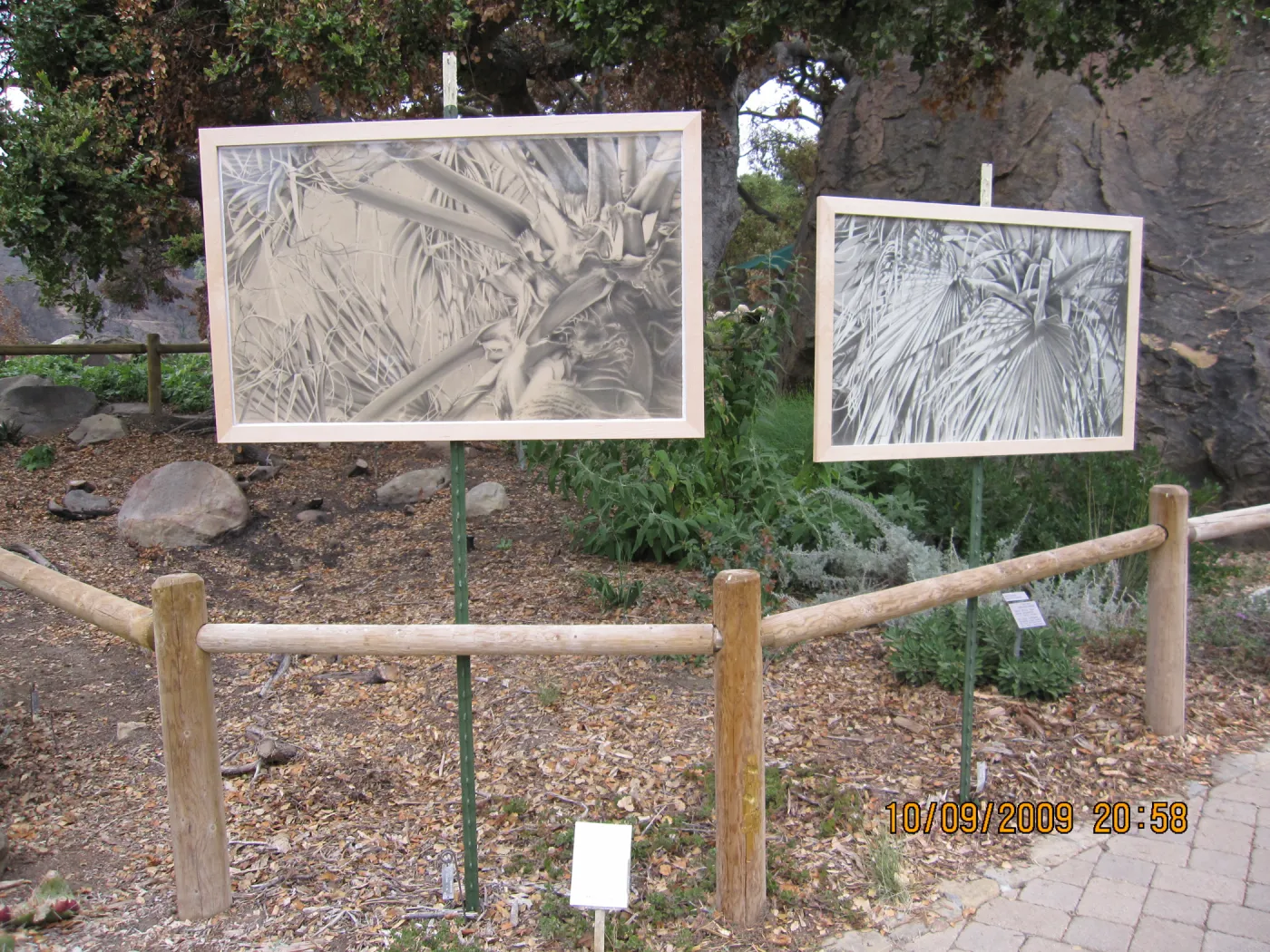 Art From Ashes art exhibit, after the Jesusita Fire