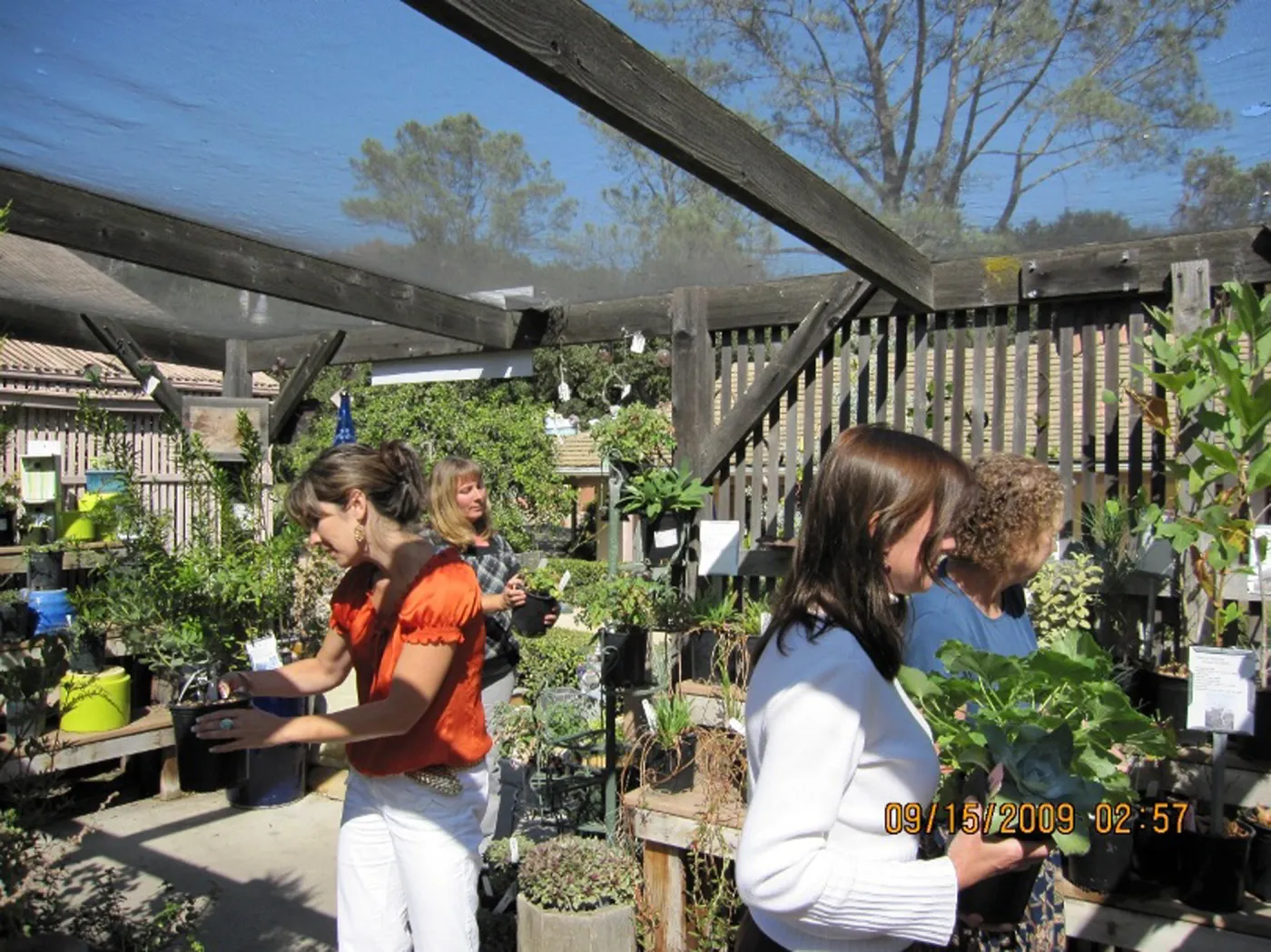 SBBG staff in the Garden Growers Nursery before the Plant Sale