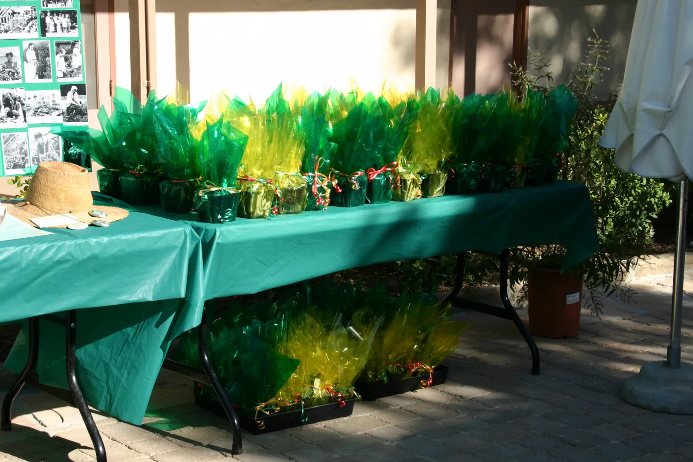 Garden Growers Celebration