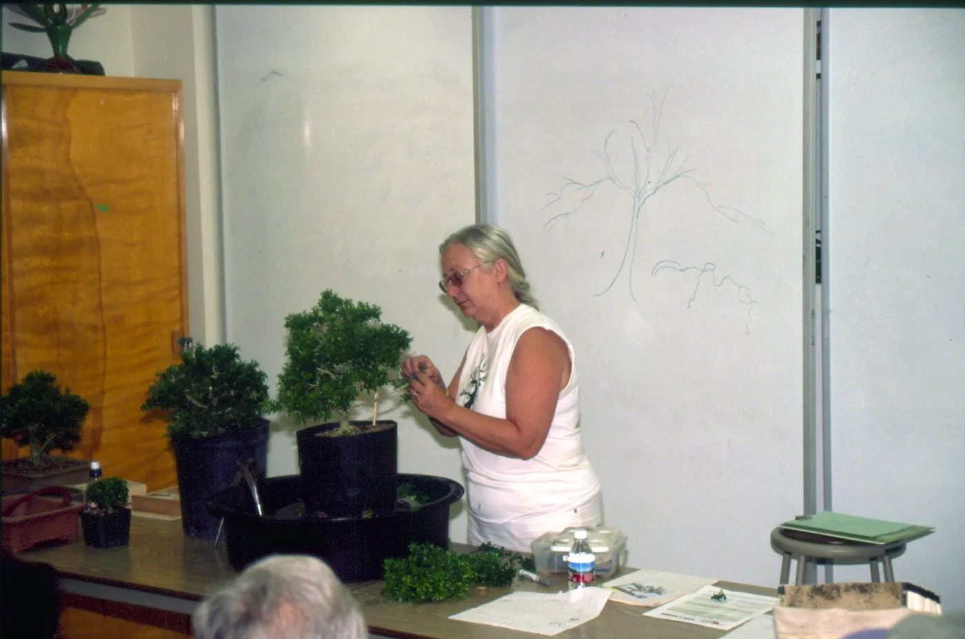 Ann's demonstration, Bonsai Show at SBBG