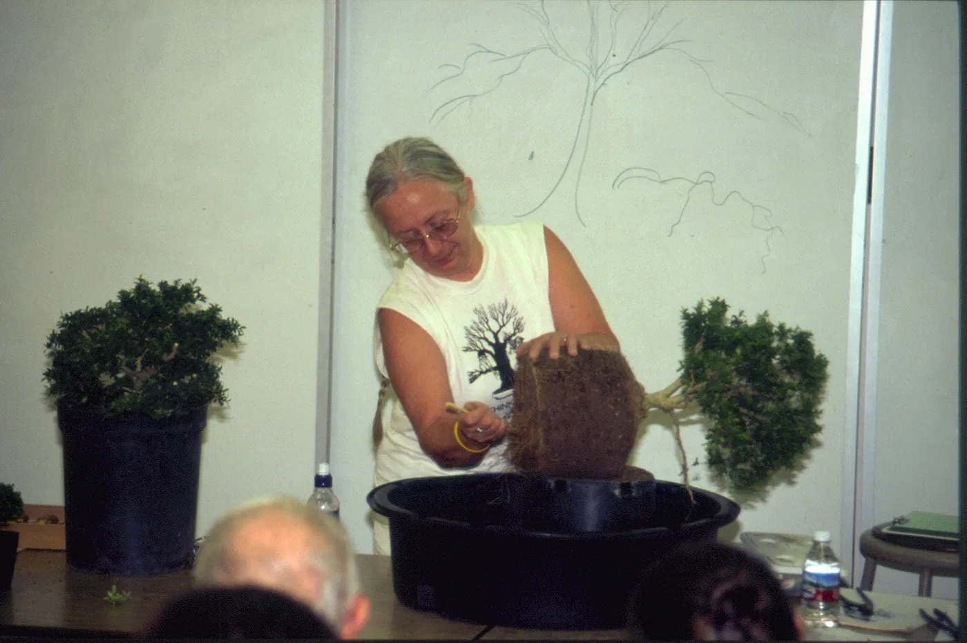 Ann's demonstration, Bonsai Show at SBBG