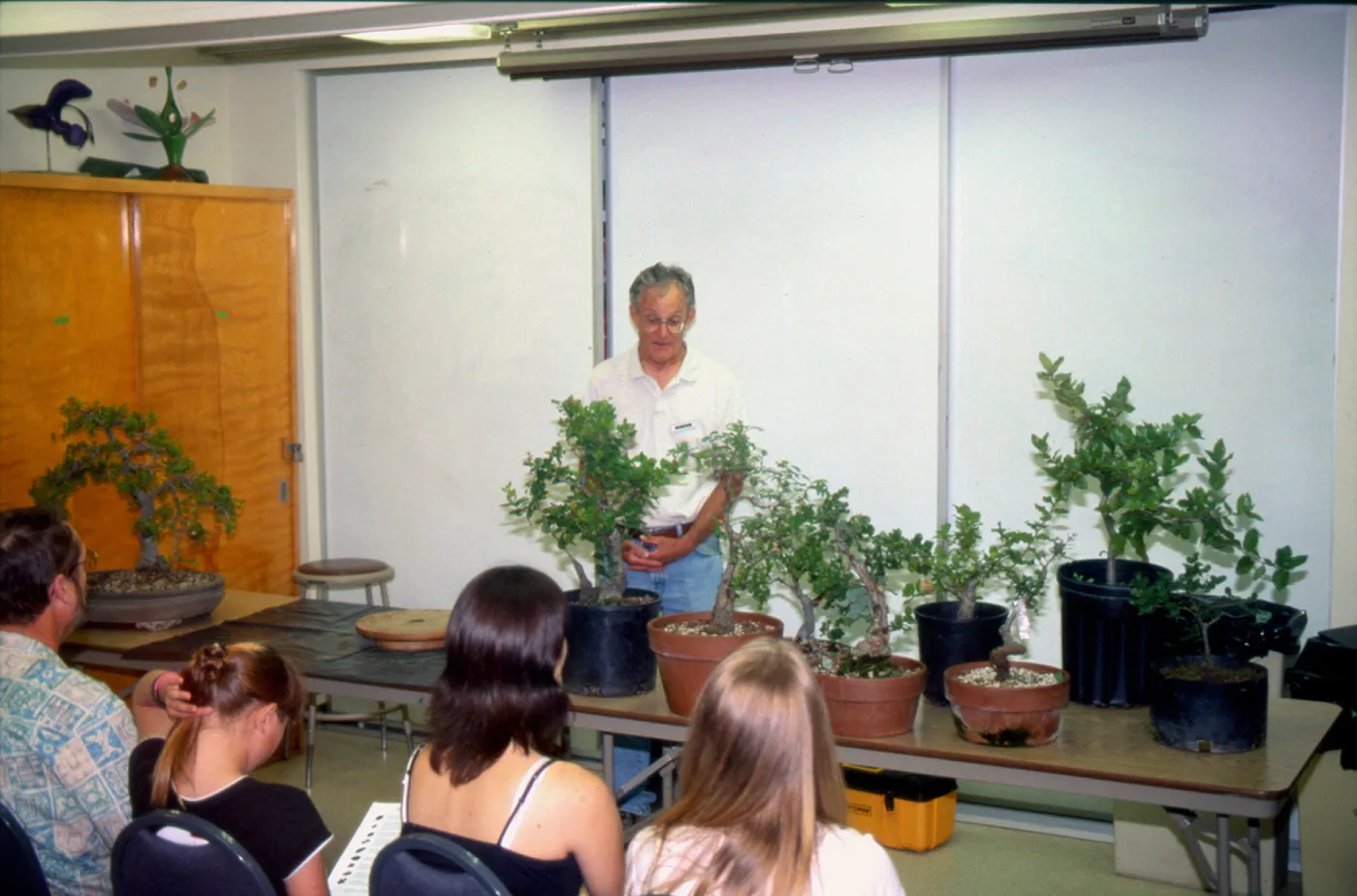 Bonsai Show at SBBG