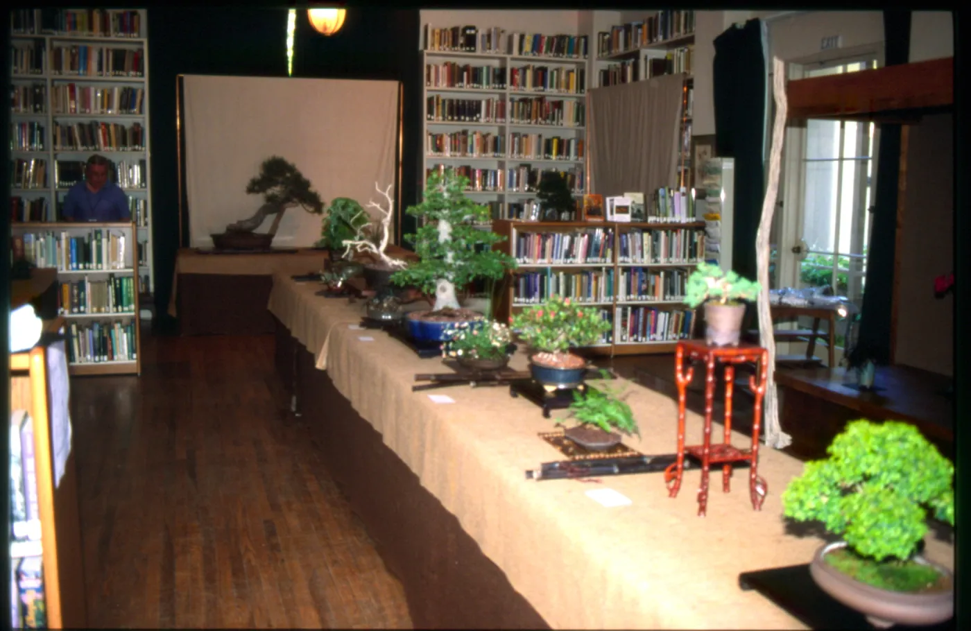 Bonsai Show at SBBG
