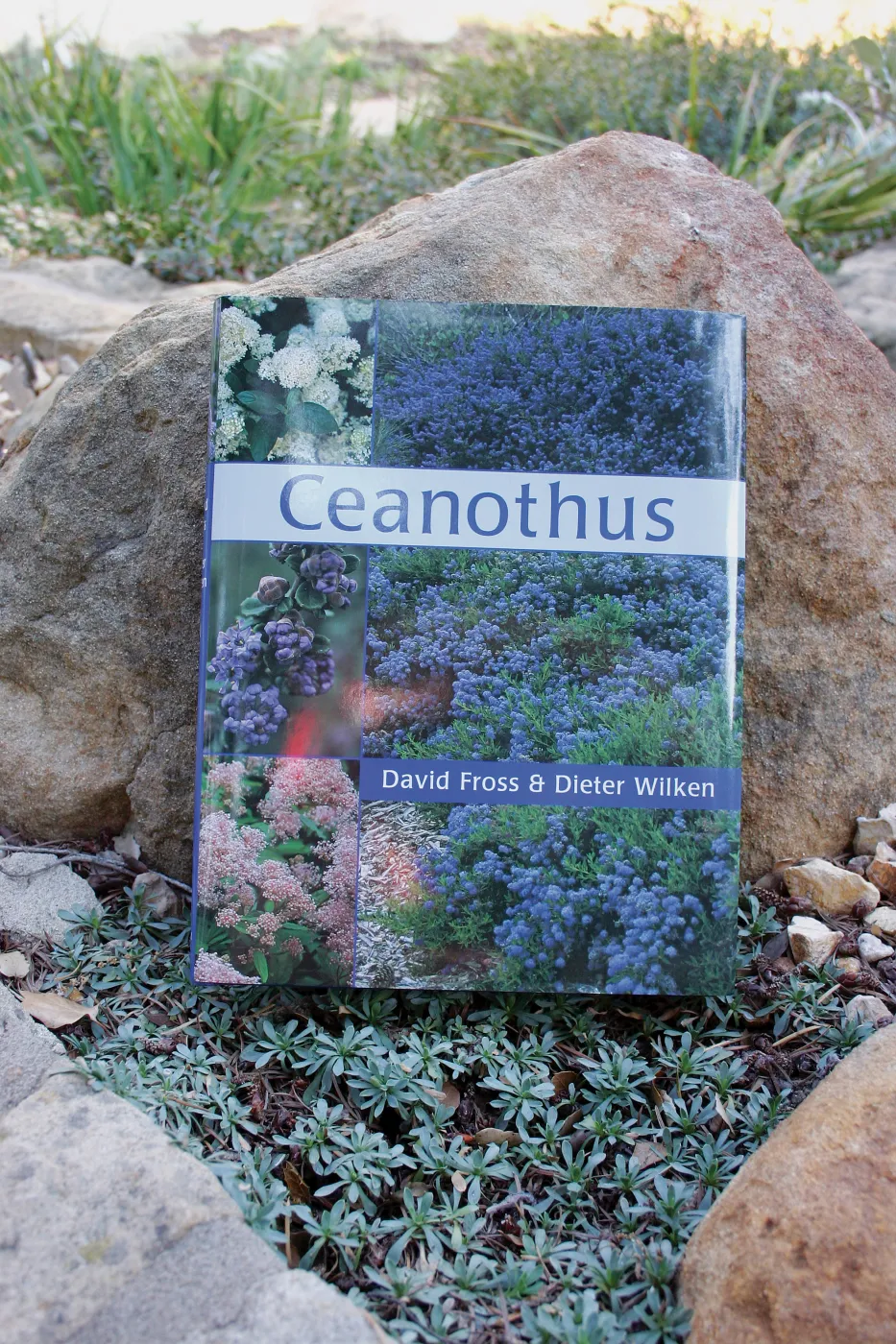 Ceanothus book