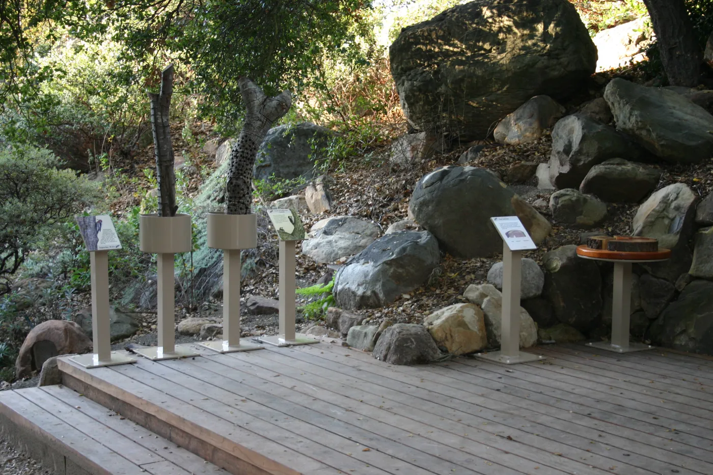 Discovery Garden, oak woodland interpretation deck