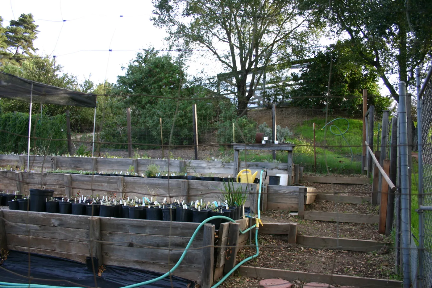 Garden Growers propagation area