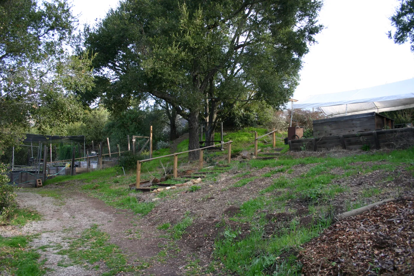 Garden Growers propagation area