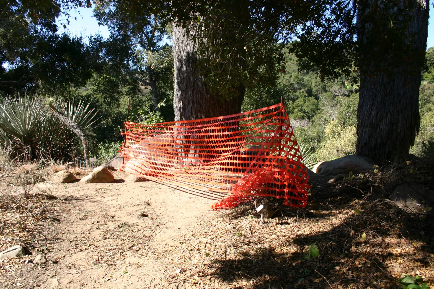 orange mesh fencing, Campbell Trail closed