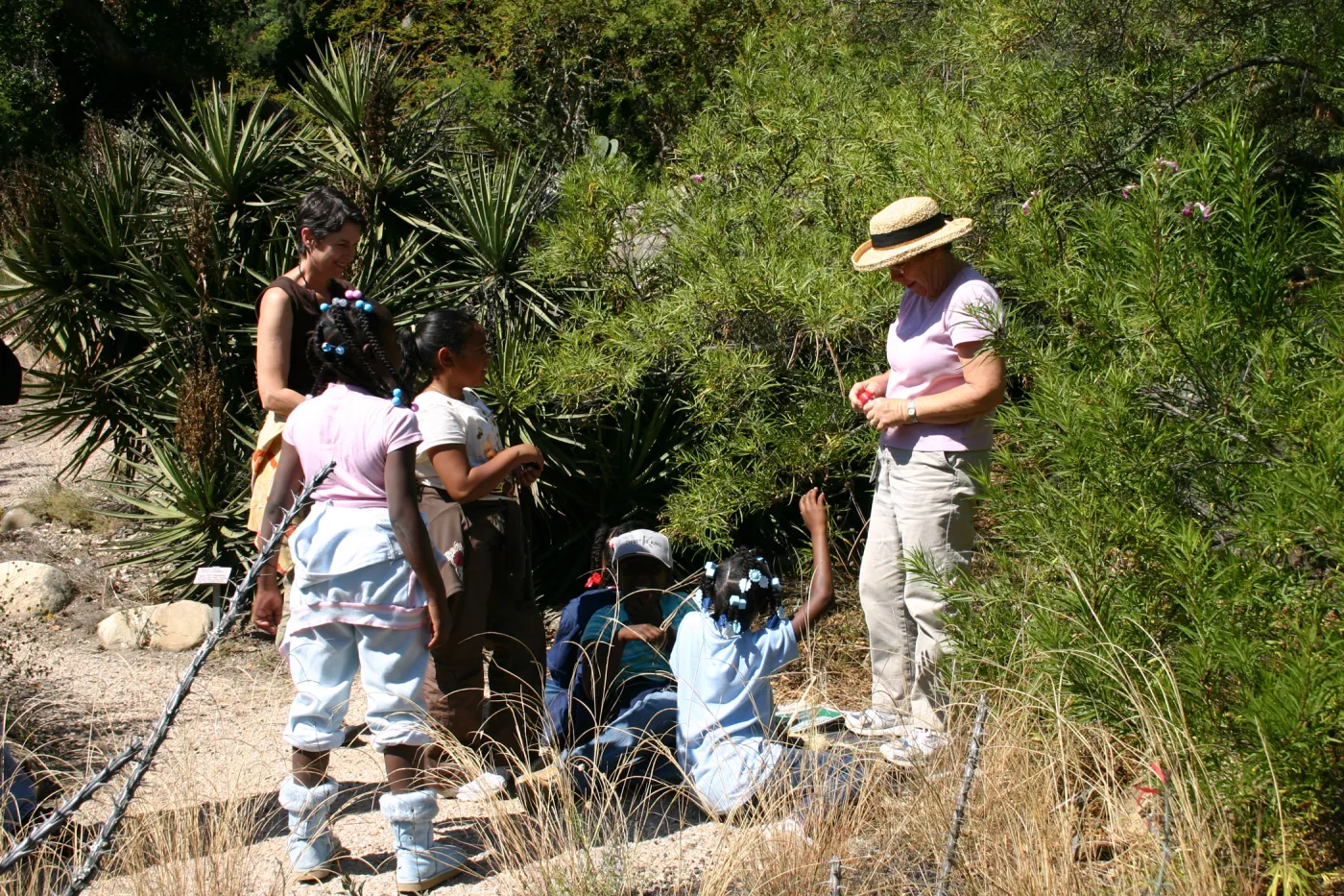 Docent Tour in the Garden