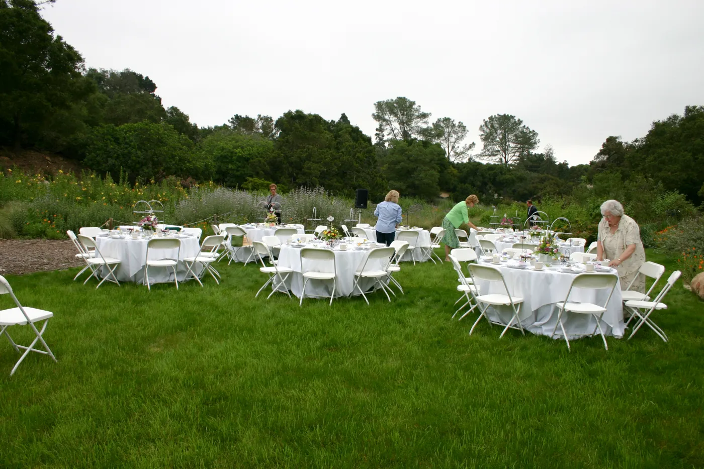 High Tea in the Garden, event in the Meadow