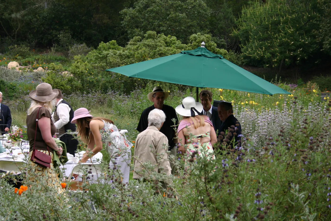 High Tea in the Garden, event in the Meadow