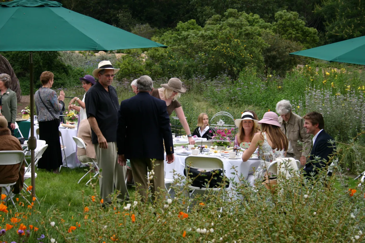 High Tea in the Garden, event in the Meadow