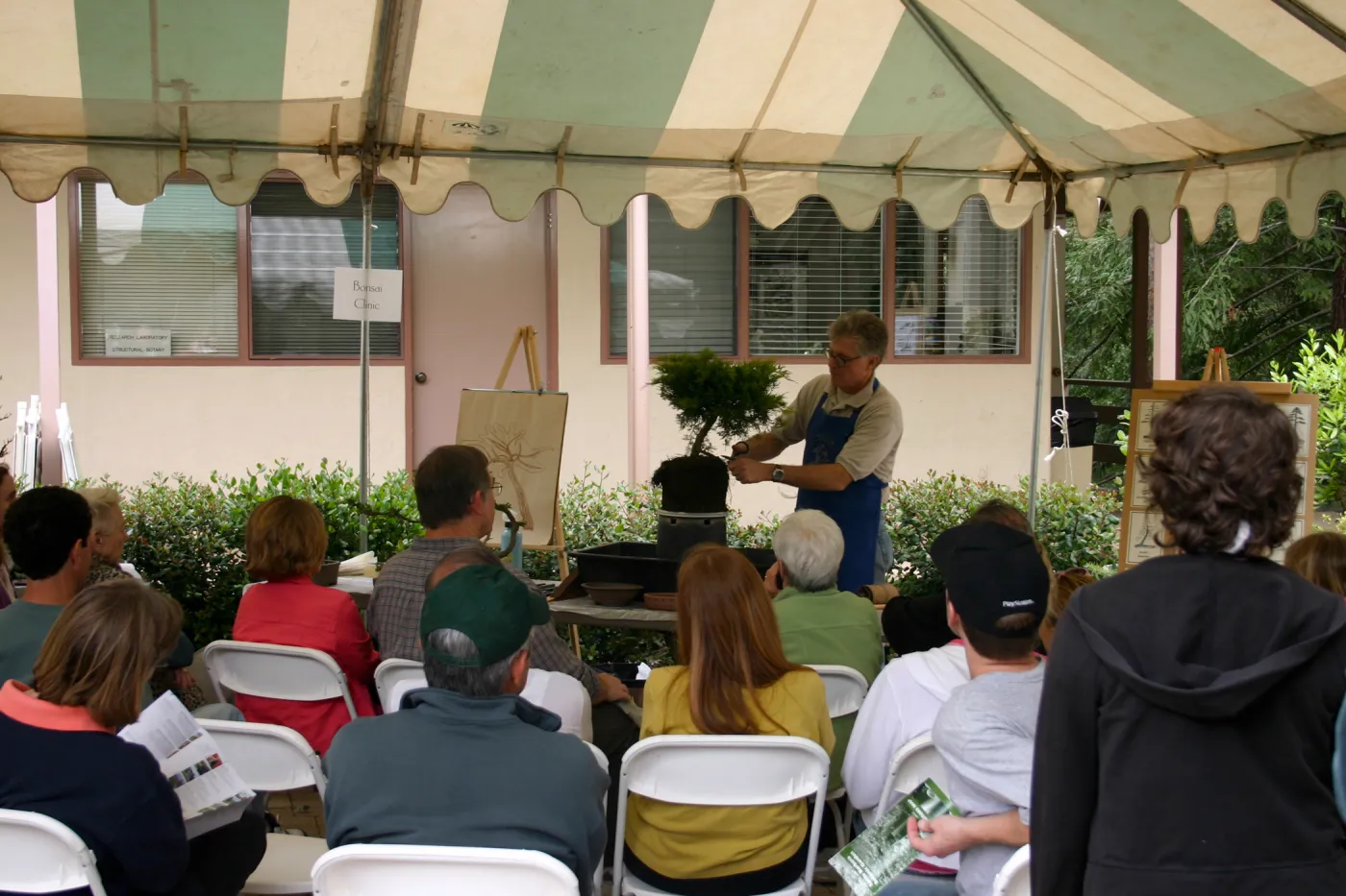 Bonsai Weekend, event at SBBG