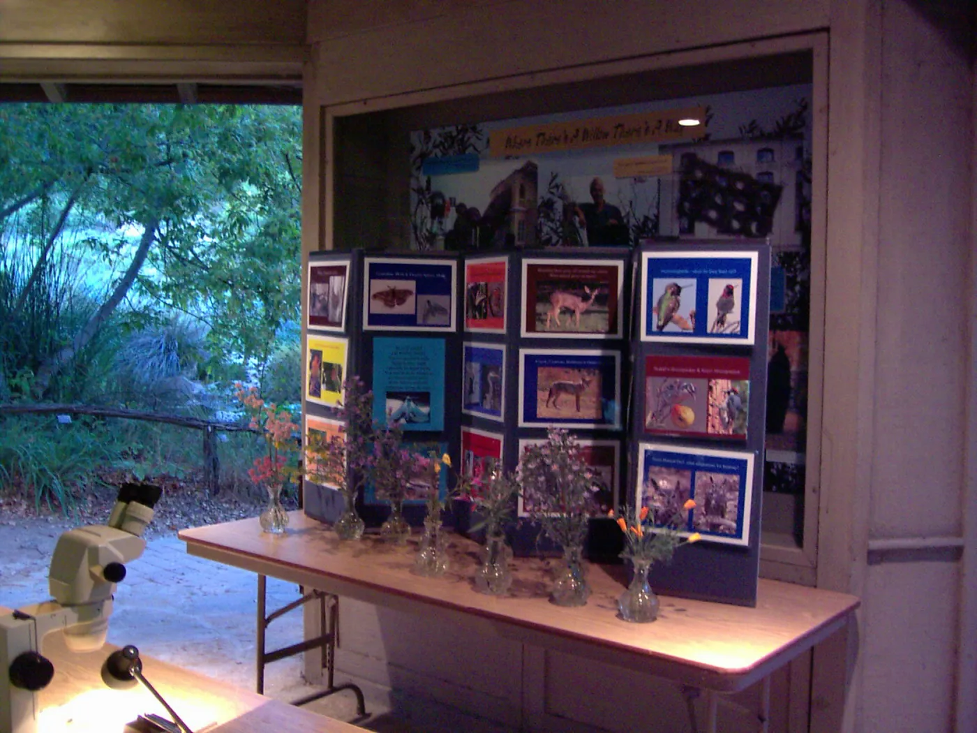 Great Garden Nature Night, event at SBBG