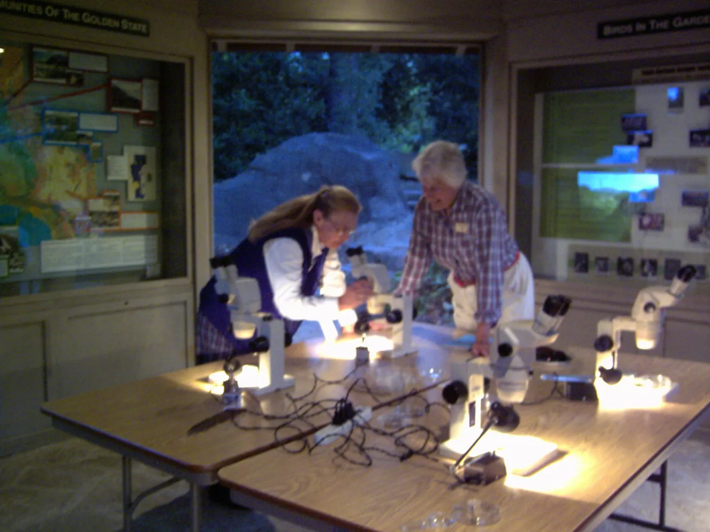 Great Garden Nature Night, event at SBBG