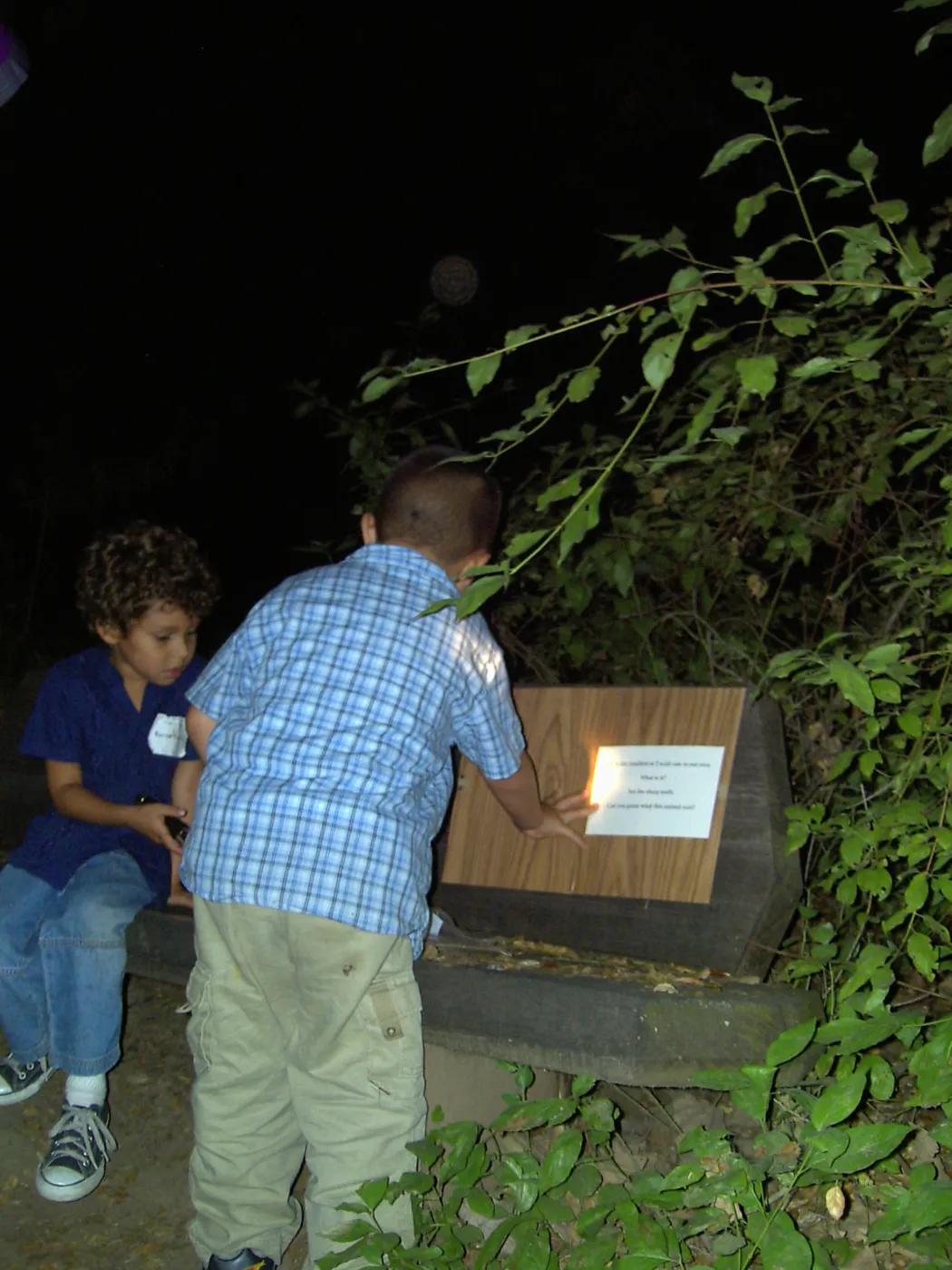 Great Garden Nature Night, event at SBBG