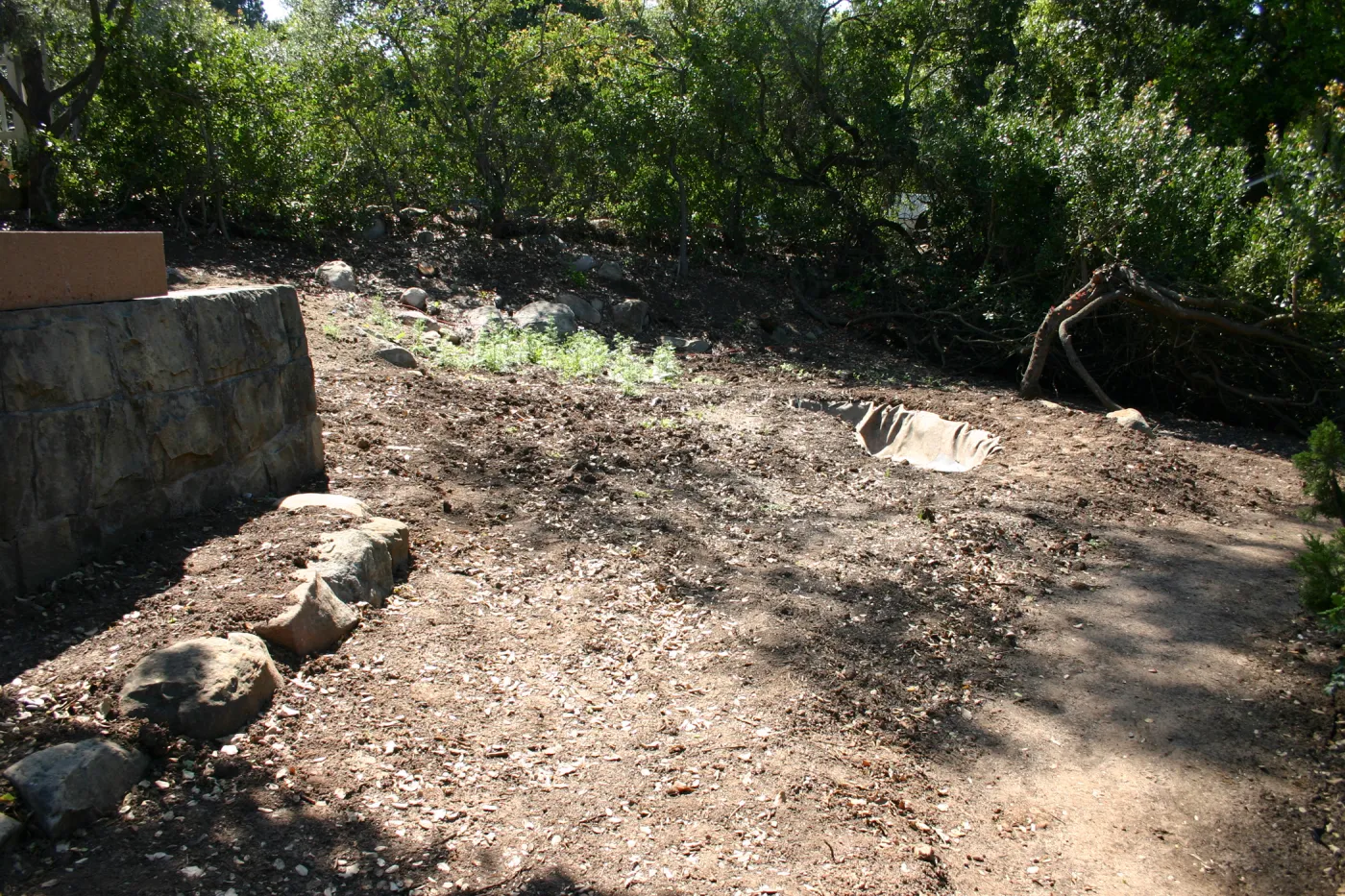 construction of new Conservation Display