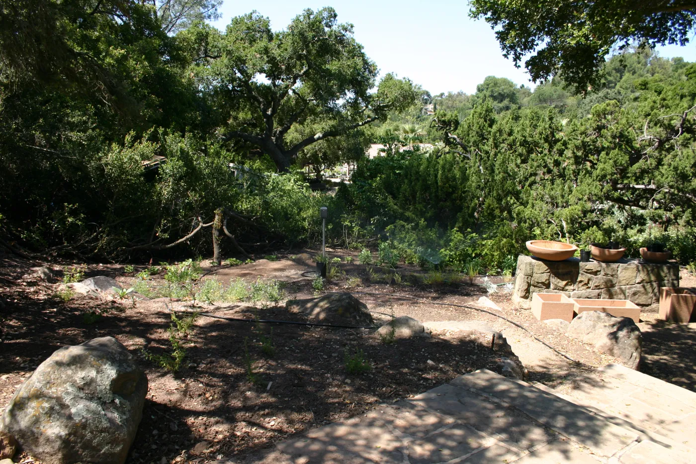 construction of new Conservation Display