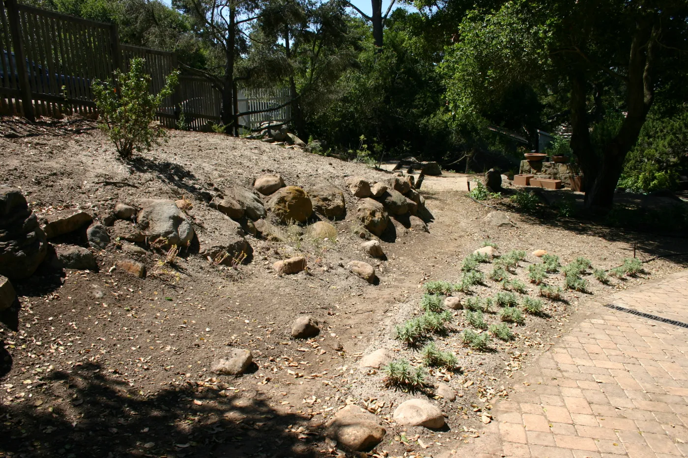 construction of new Conservation Display