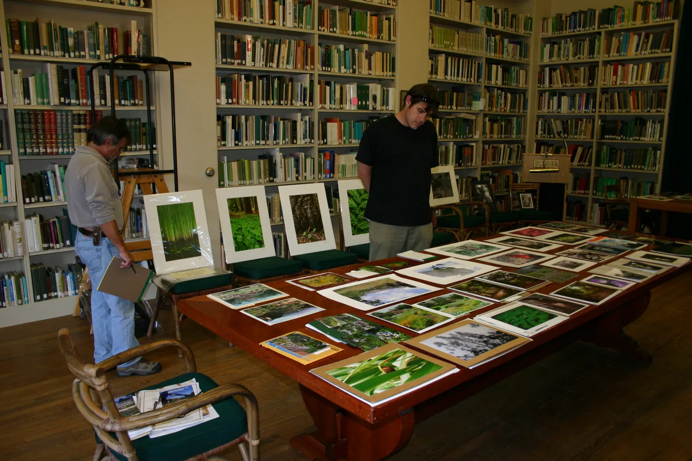 SCAPE Art Exhibit, judging in the Blaksley Library