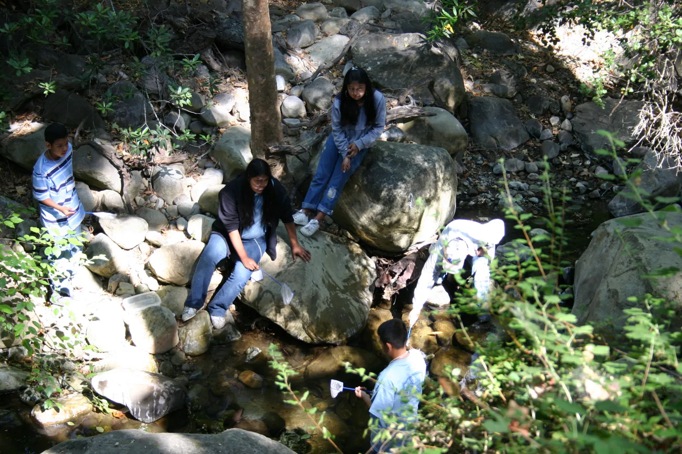 Snapdragons, SBBG TEEN Program, class activity in Mission Creek