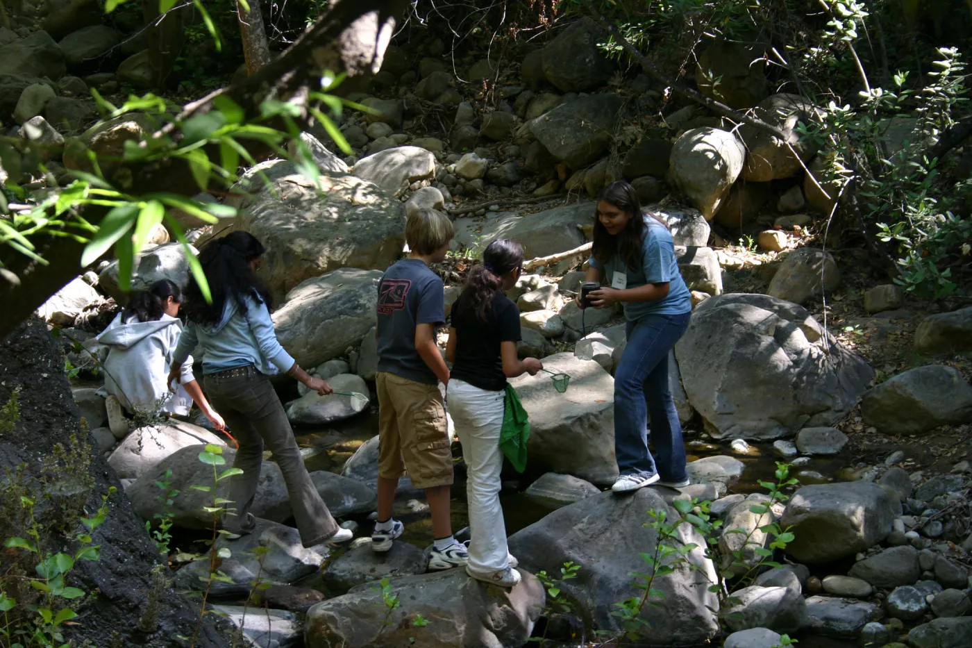 Snapdragons, SBBG TEEN Program, class activity in Mission Creek