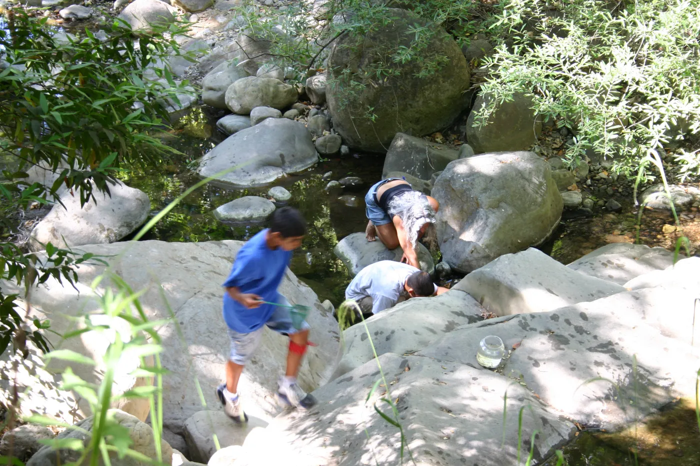 YEA group at SBBG, examining insects in Mission Creek