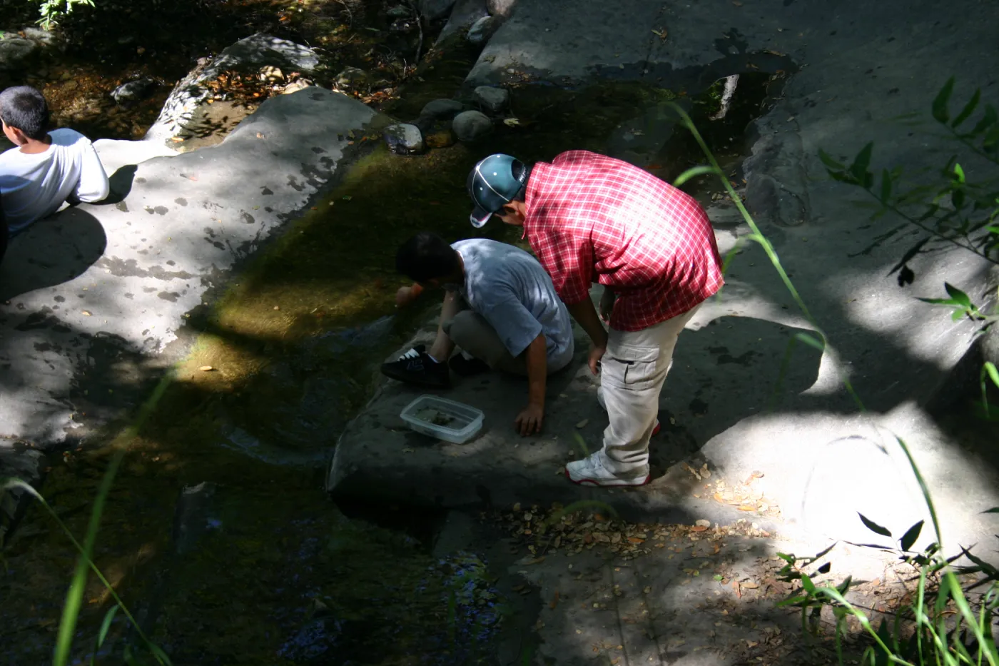 YEA group at SBBG, examining insects in Mission Creek