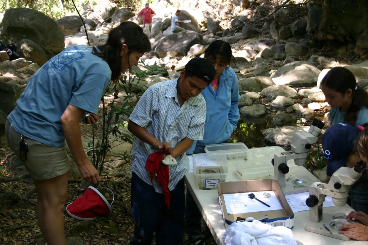 YEA group at SBBG, examining insects under the microscope