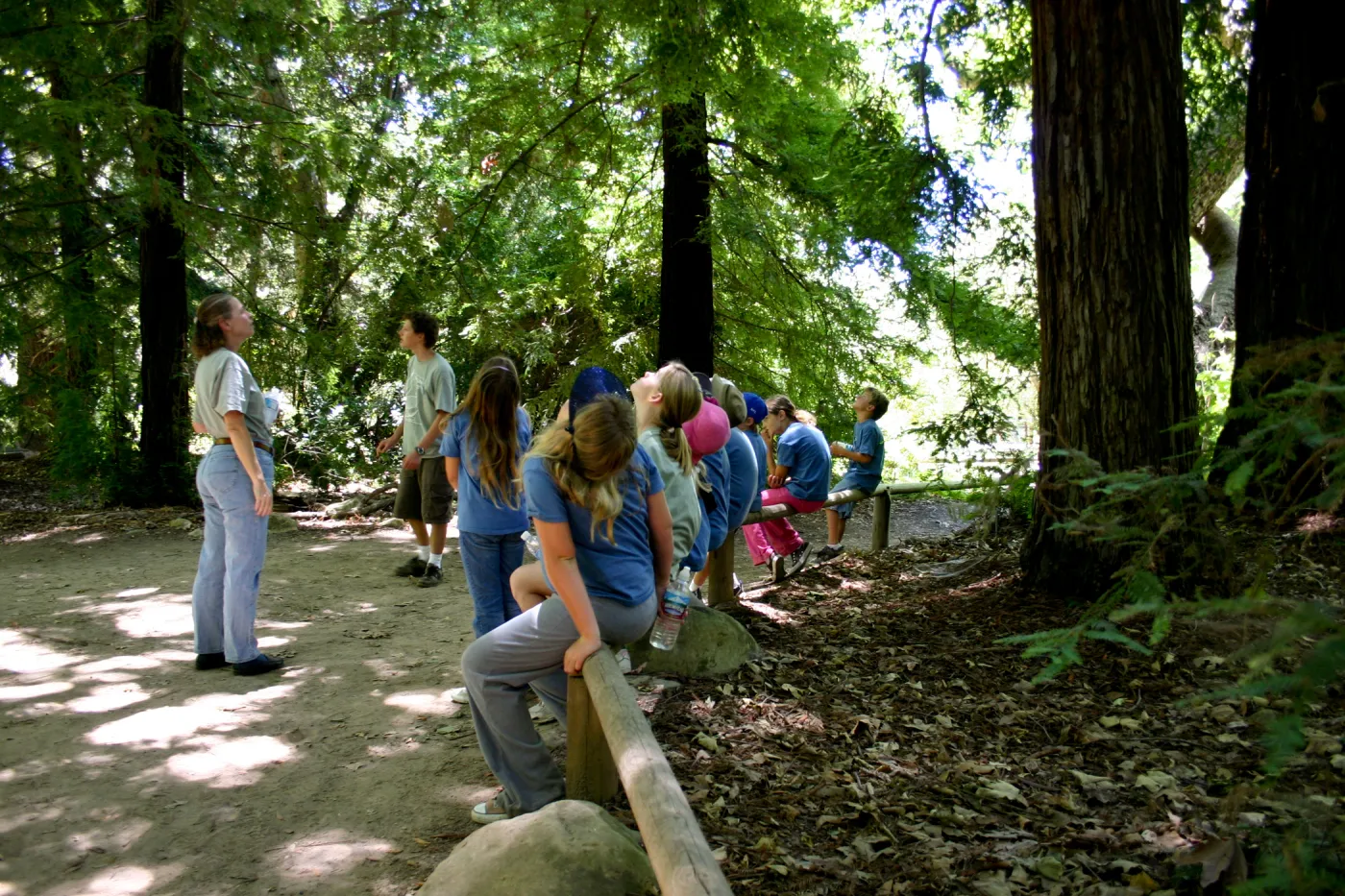 SBBG Nature Camp, 2006, in the Redwood Section with Joan Evans