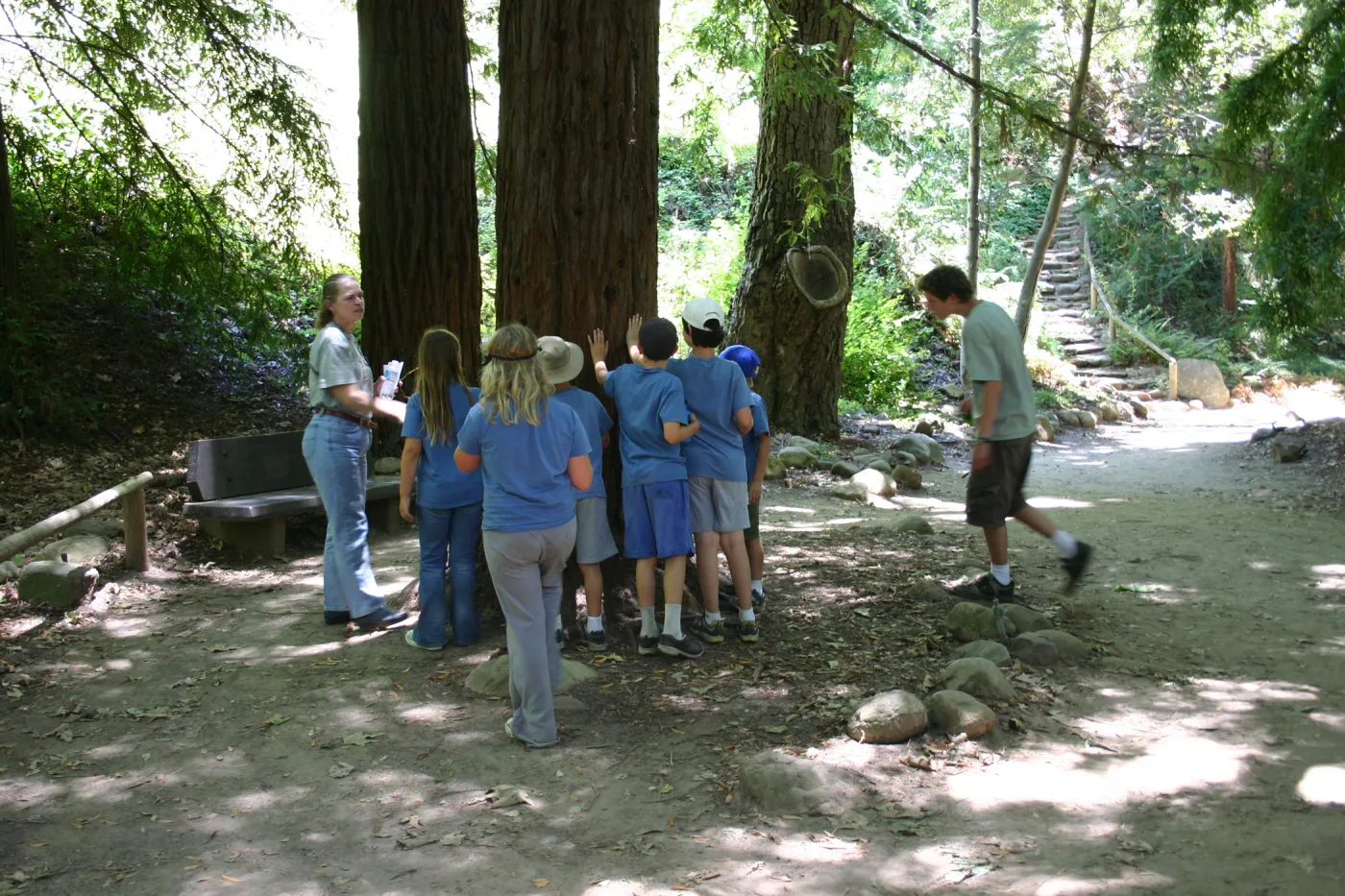 SBBG Nature Camp, 2006, in the Redwood Section with Joan Evans