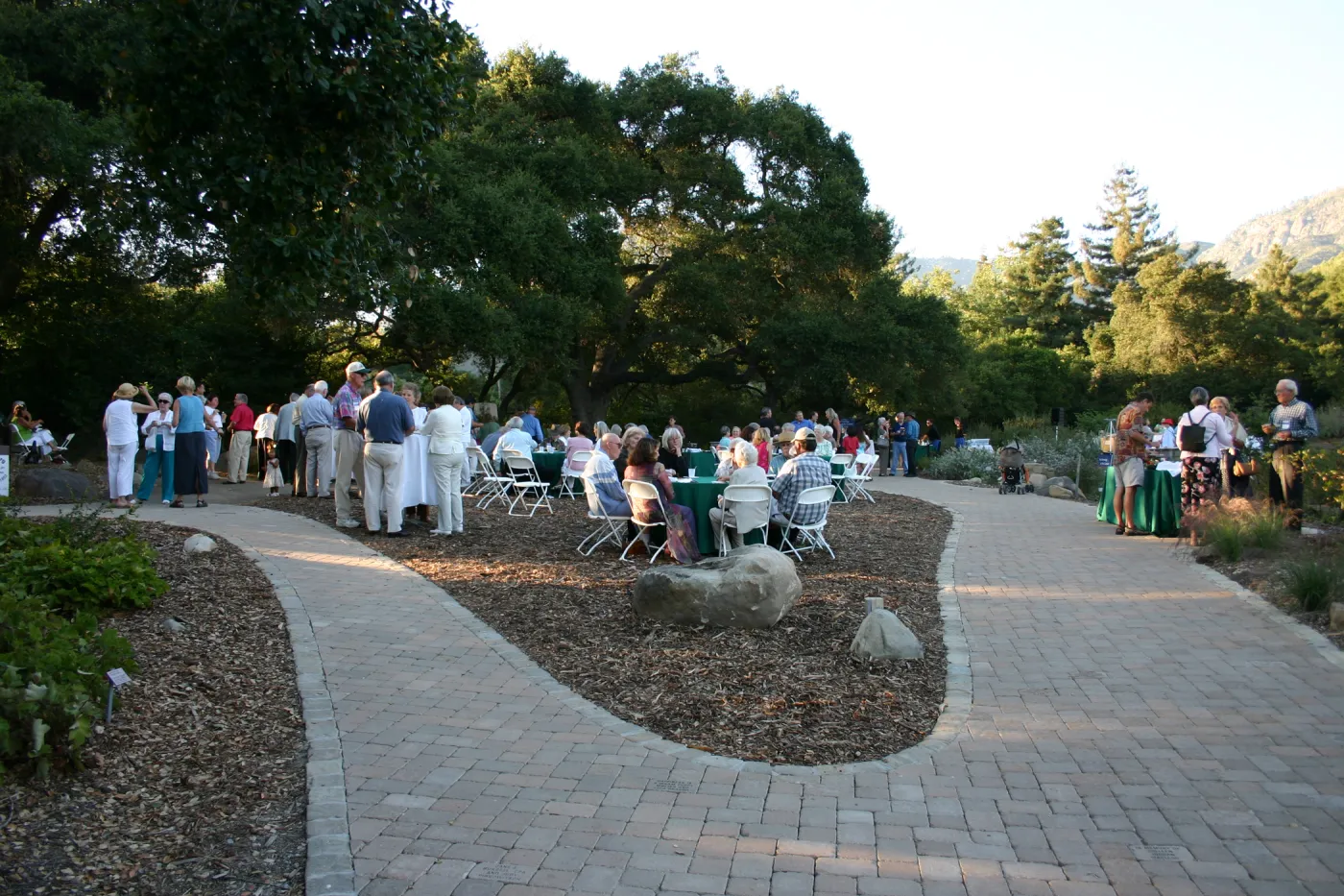 SBBG Garden Open House under the oaks, new pavered pathway along the edge of the Meadow