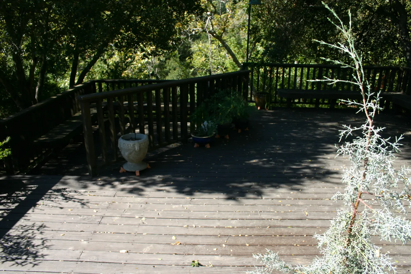 Home Demonstration Deck, SBBG event location