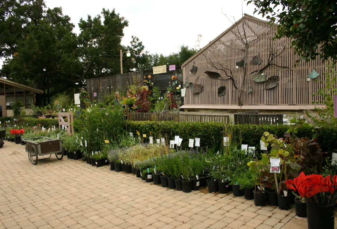 Courtyard display, Fall Plant Sale Pre-Sale event, 2006