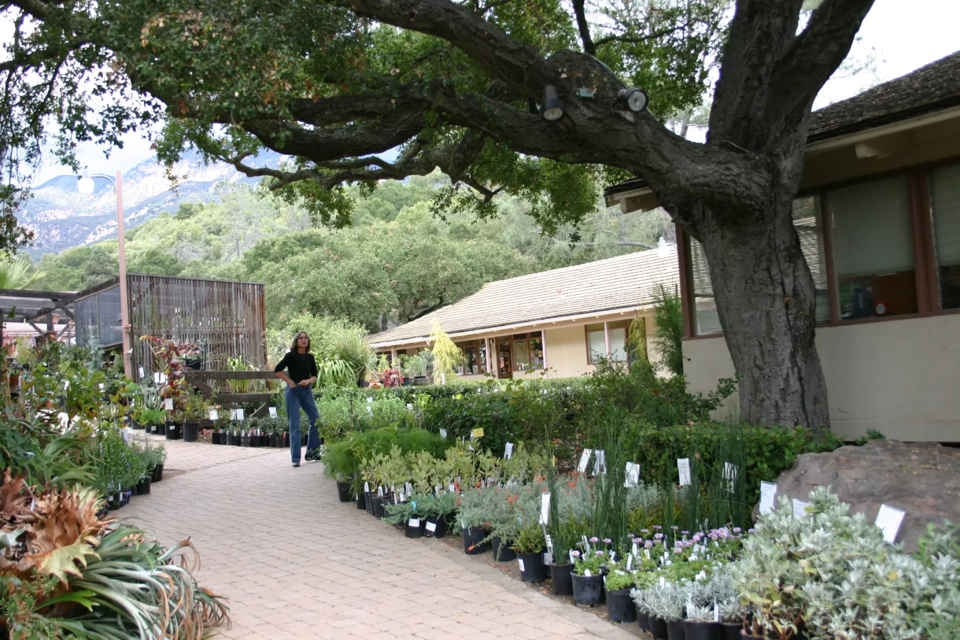 Carol Bornstein, Fall Plant Sale Pre-Sale event, 2006