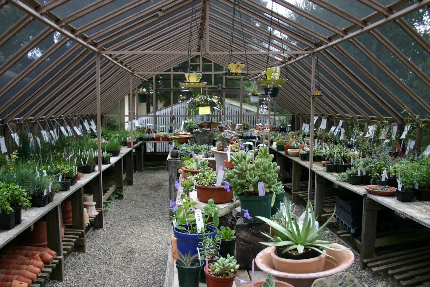 Garden Growers Nursery, Fall Plant Sale Pre-Sale event, 2006