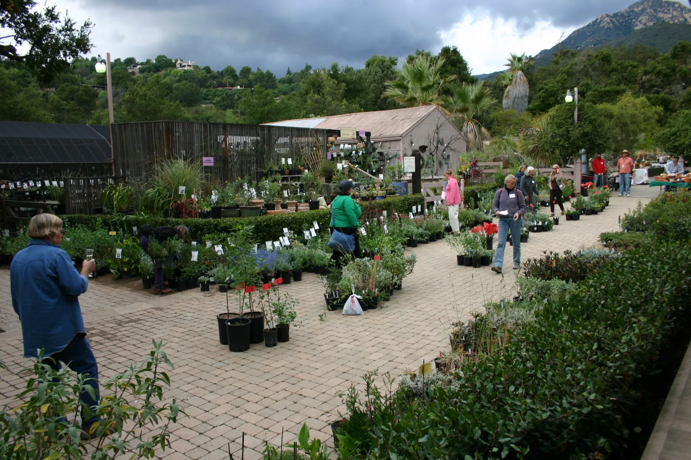 Fall Plant Sale Pre-Sale event, 2006