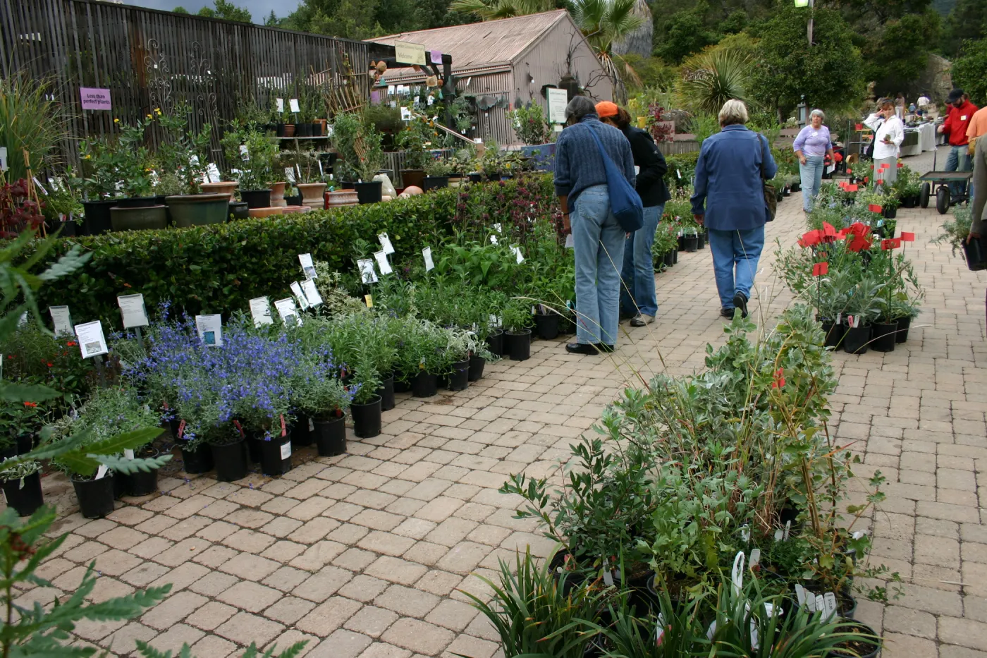 Fall Plant Sale Pre-Sale event, 2006