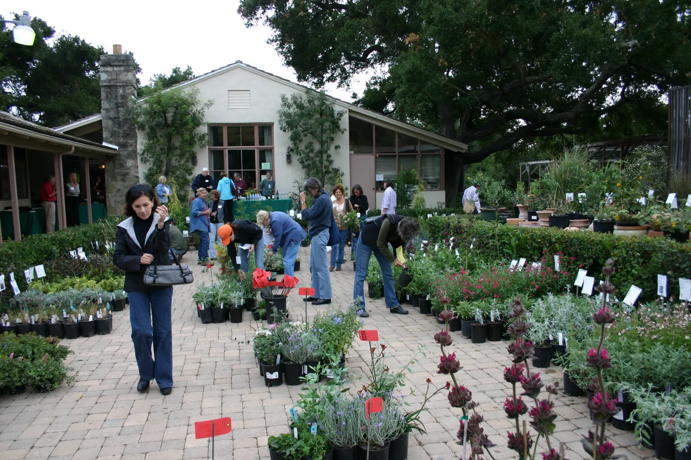 Fall Plant Sale Pre-Sale event, 2006